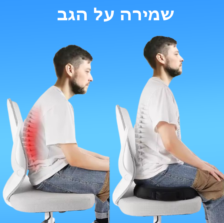 כרית הישיבה האורתופדית של Velaura